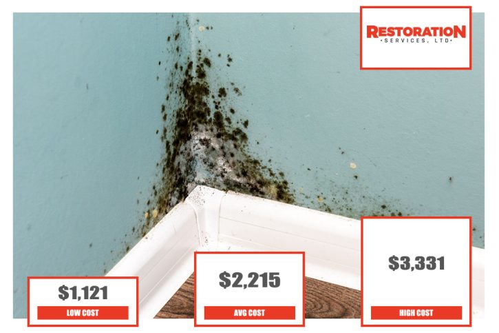 mold-remediation-cost
